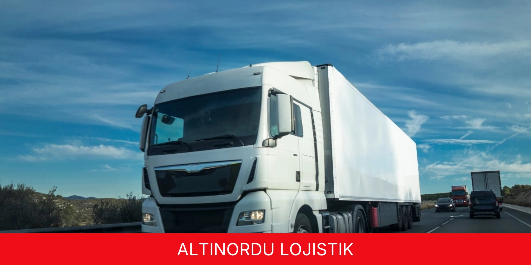 Altınordu Lojistik