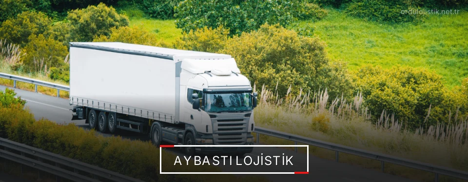 Aybastı Lojistik Kargo