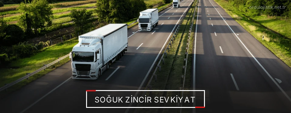 Ordu Frigo Taşımacılık Firmaları Ordu Frigo Taşımacılık Firmaları