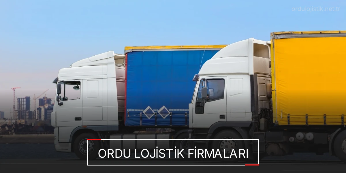 İstanbul Ordu Lojistik Hızlı Teslimat ve Güvenli Depolama