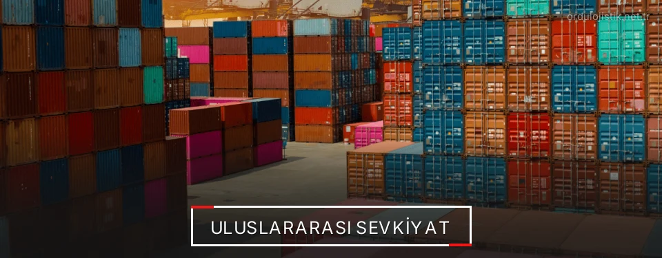 Ordu Uluslararası Karayolu Lojistik Firmaları